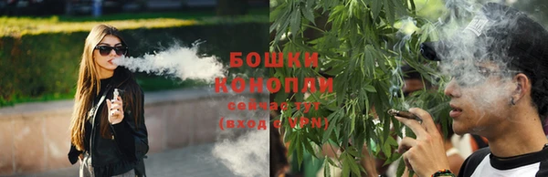 прущие грибы Армянск