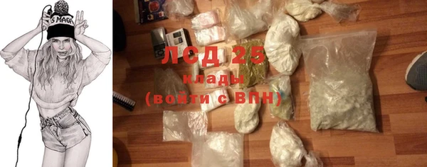 молекула духа Покров