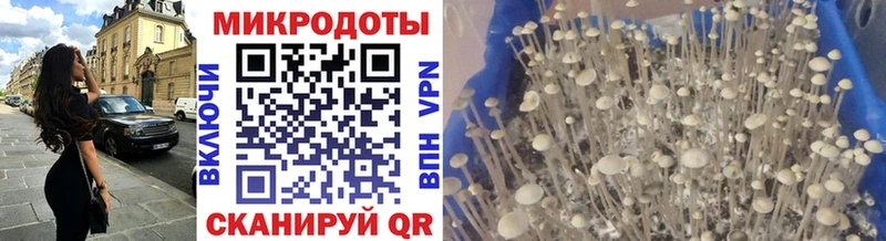 наркота  ОМГ ОМГ как войти  Псилоцибиновые грибы ЛСД  Белокуриха 